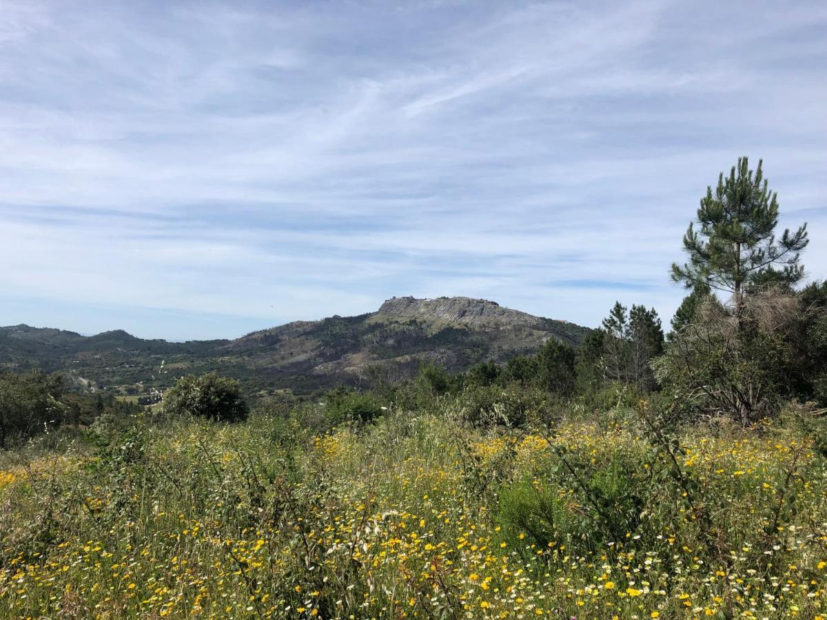 Varanda Do Alentejo Marvão Zewnętrze zdjęcie